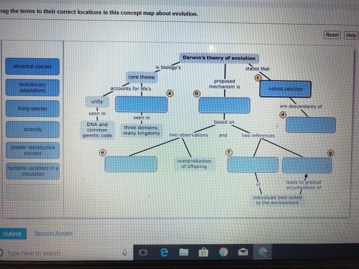 Evolution concept map answers key