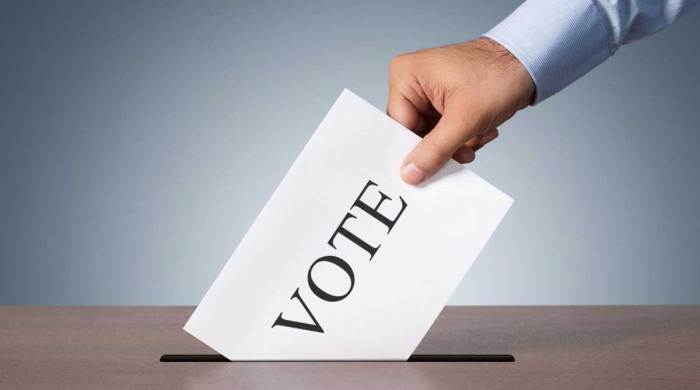 Voting campaigns voter participation