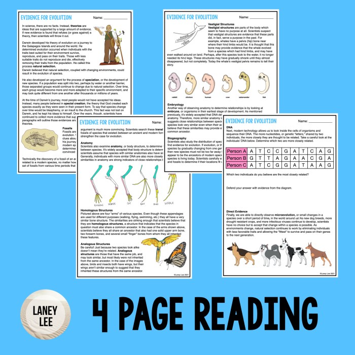 Types of evolution worksheet pdf answers