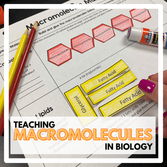 Ap biology 042 biological molecules