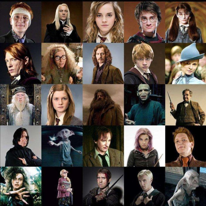 Potter harry characters