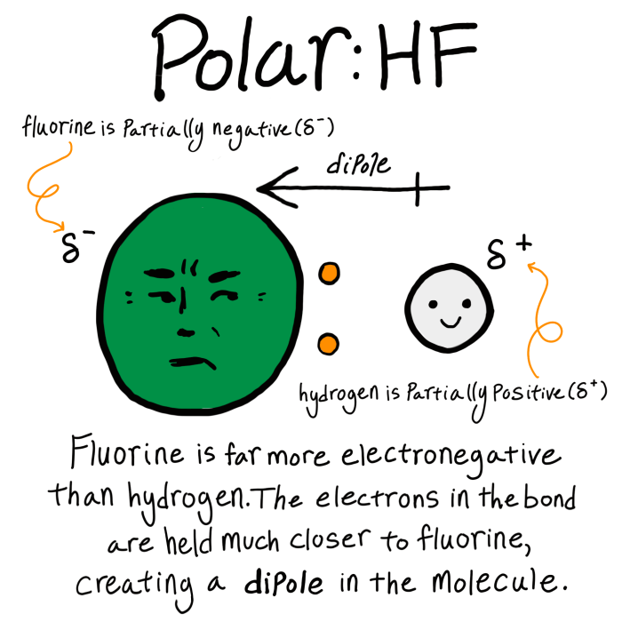 Covalent nonpolar dipole bonds polarity charge electrons ethanol separation molecules equally