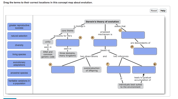 Evolution concept map answers key