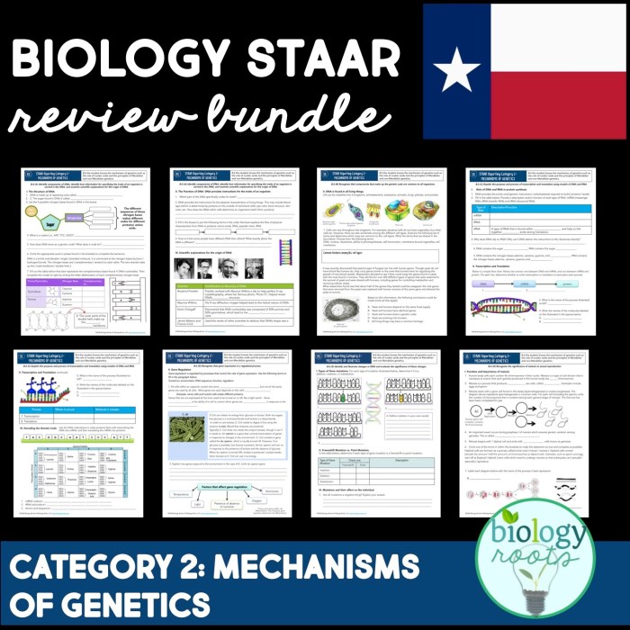 Staar biology review biology roots answer key