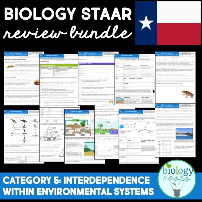 Staar biology review biology roots answer key