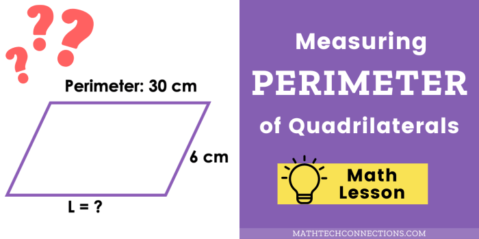 Polygons quadrilaterals