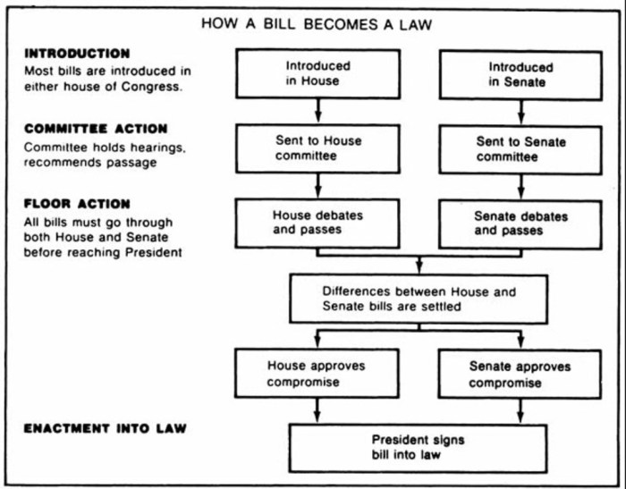 How a bill becomes a law worksheet pdf answer key