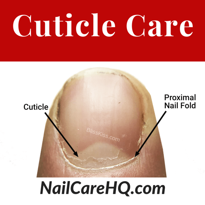 Cuticle scrape