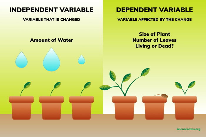 What the investigator varies in the experiment