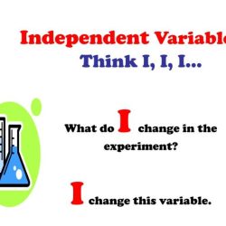 Independent variable dependent example experiment research test researcher outcome if scores wanted above may